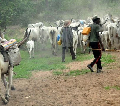 fulani Herdsmen